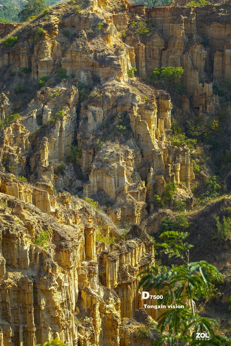 #版主坐堂#小五星空(中国)2021年4月精品荟萃