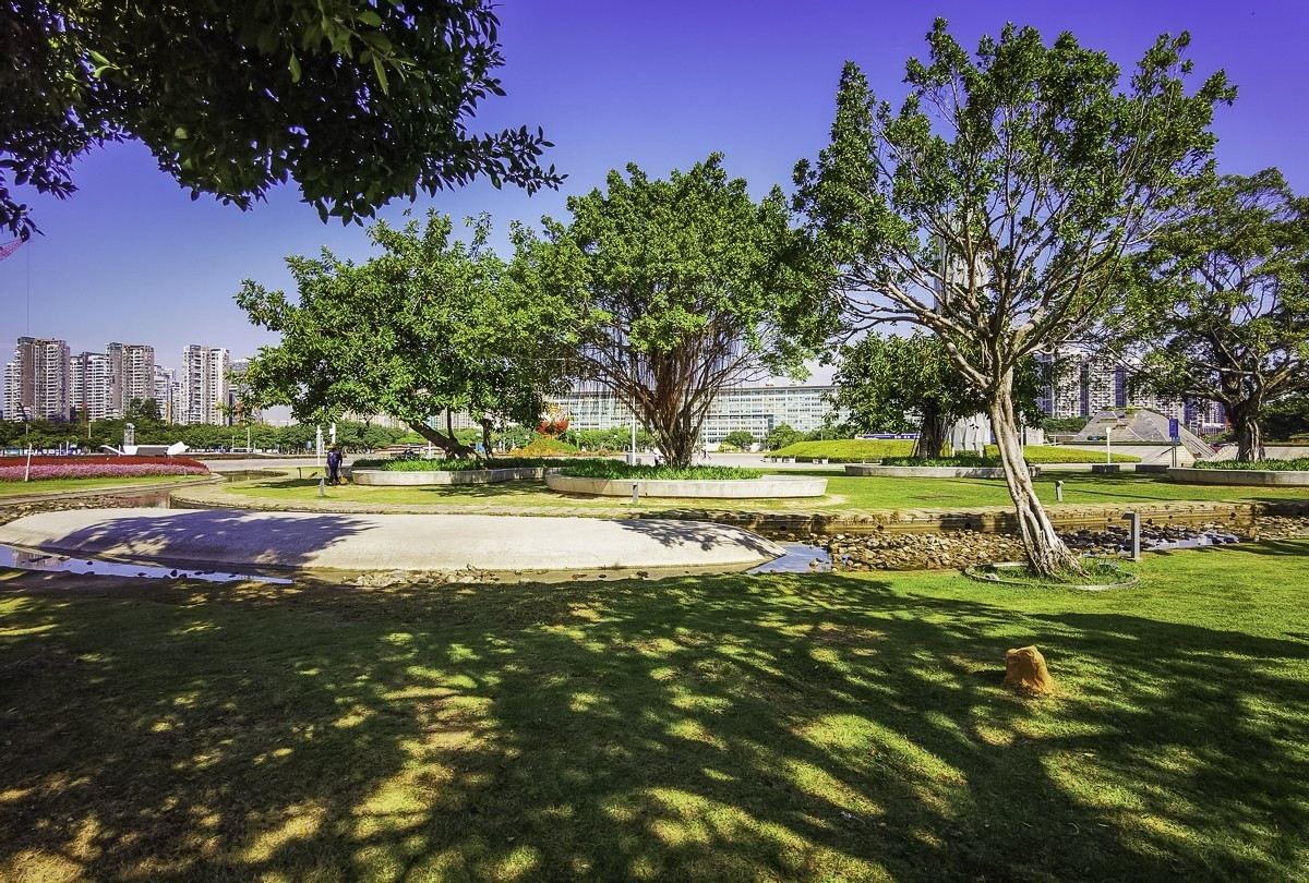 深圳宝安中心公园掠影