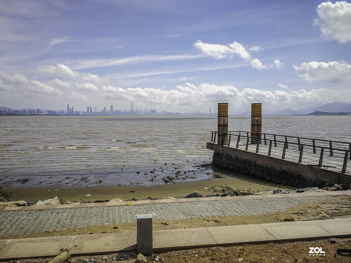 深圳湾红树林公园 ~ 掠影