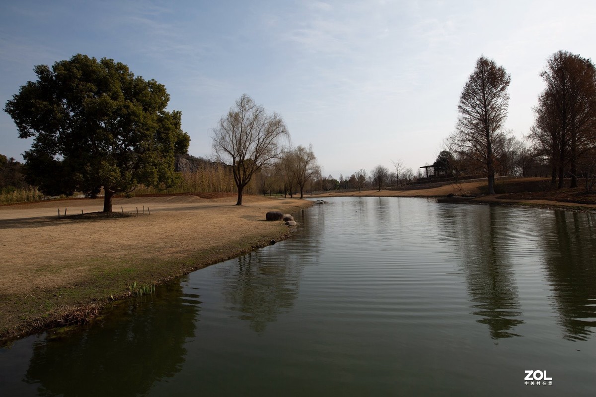 上海松江辰山植物园——新春观光