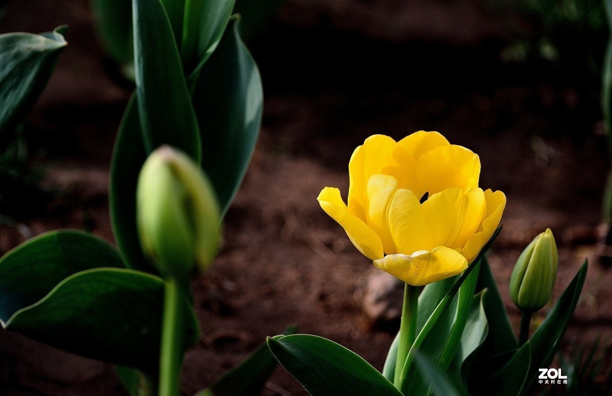 #版主坐堂#小五星空(中国)2021年4月精品荟萃