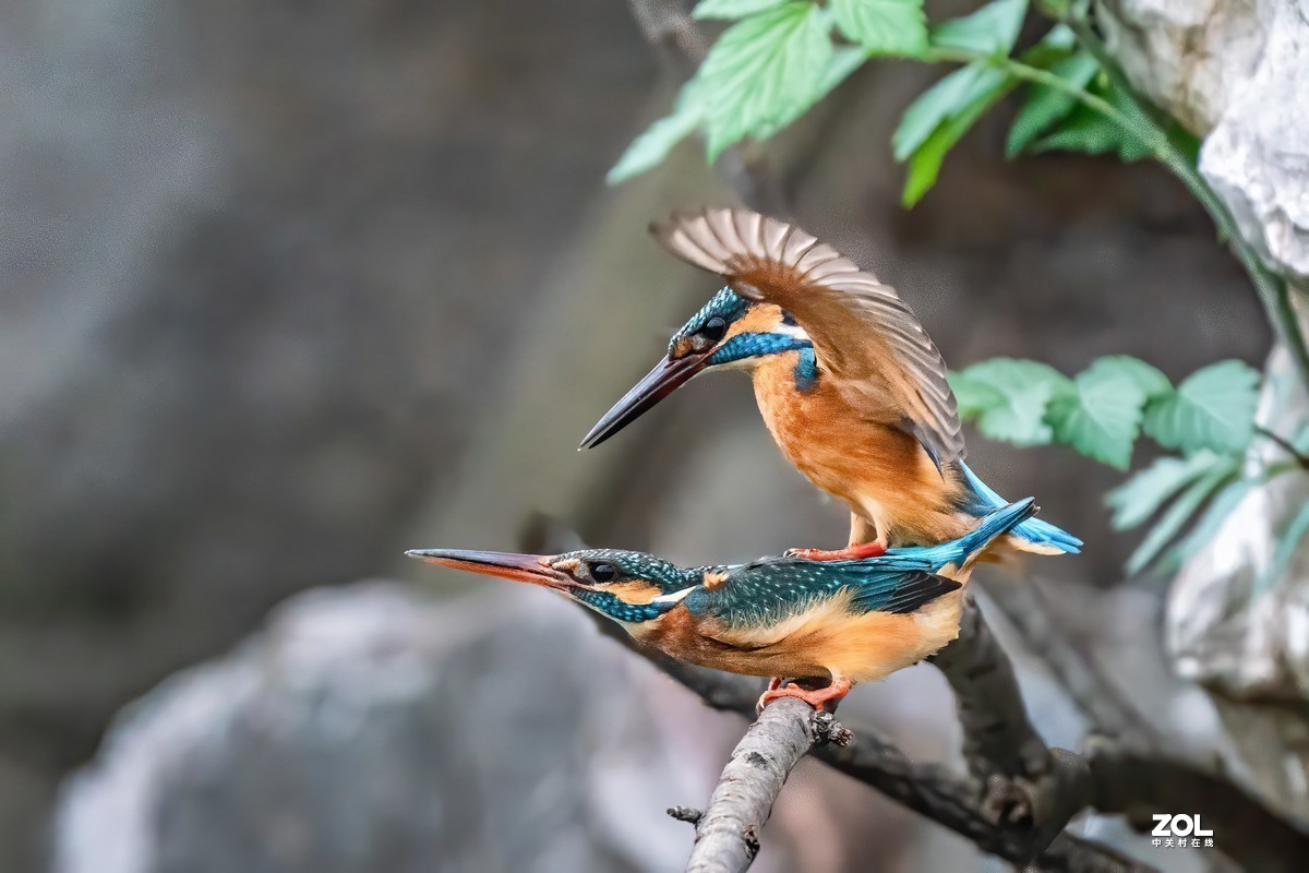 #版主坐堂#小五星空(中国)2021年4月精品荟萃