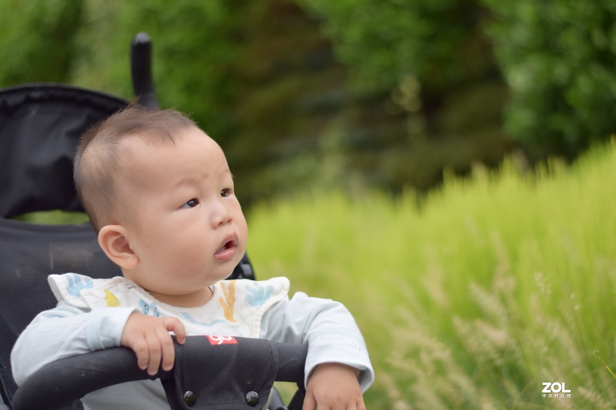 买个50回来拍娃，新手请多指教