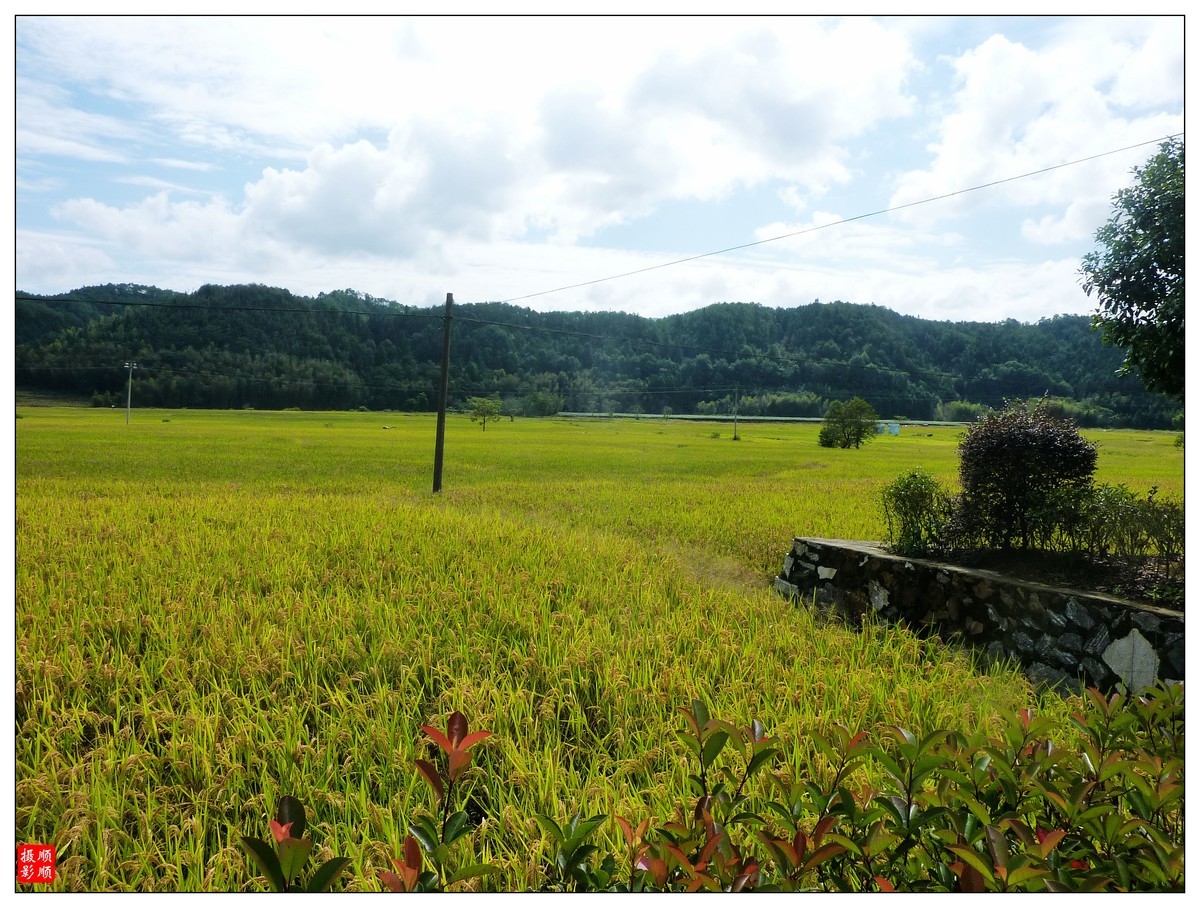 重阳节参观及瞻仰南平建阳区书坊太阳山革命历史纪念园随拍