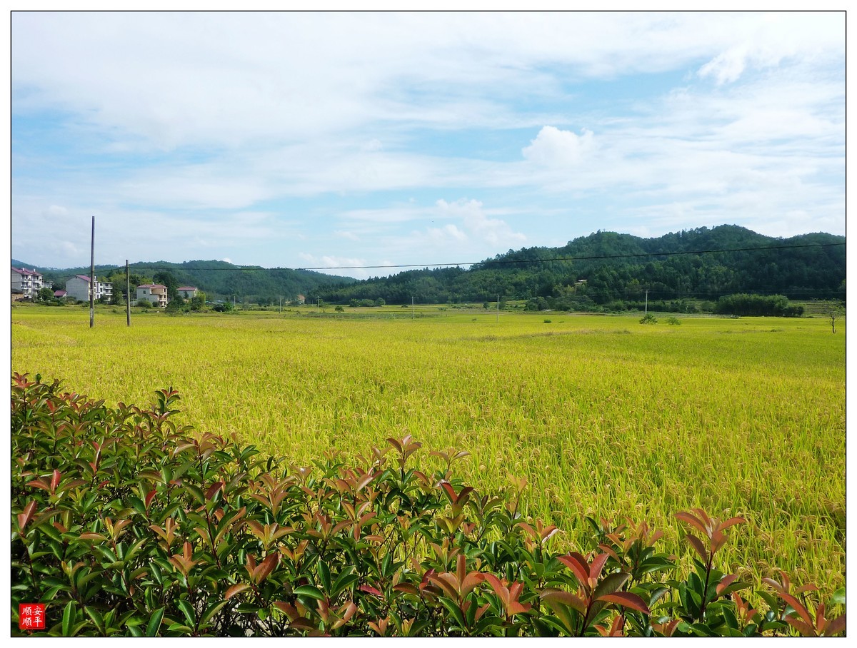 重阳节参观及瞻仰南平建阳区书坊太阳山革命历史纪念园随拍