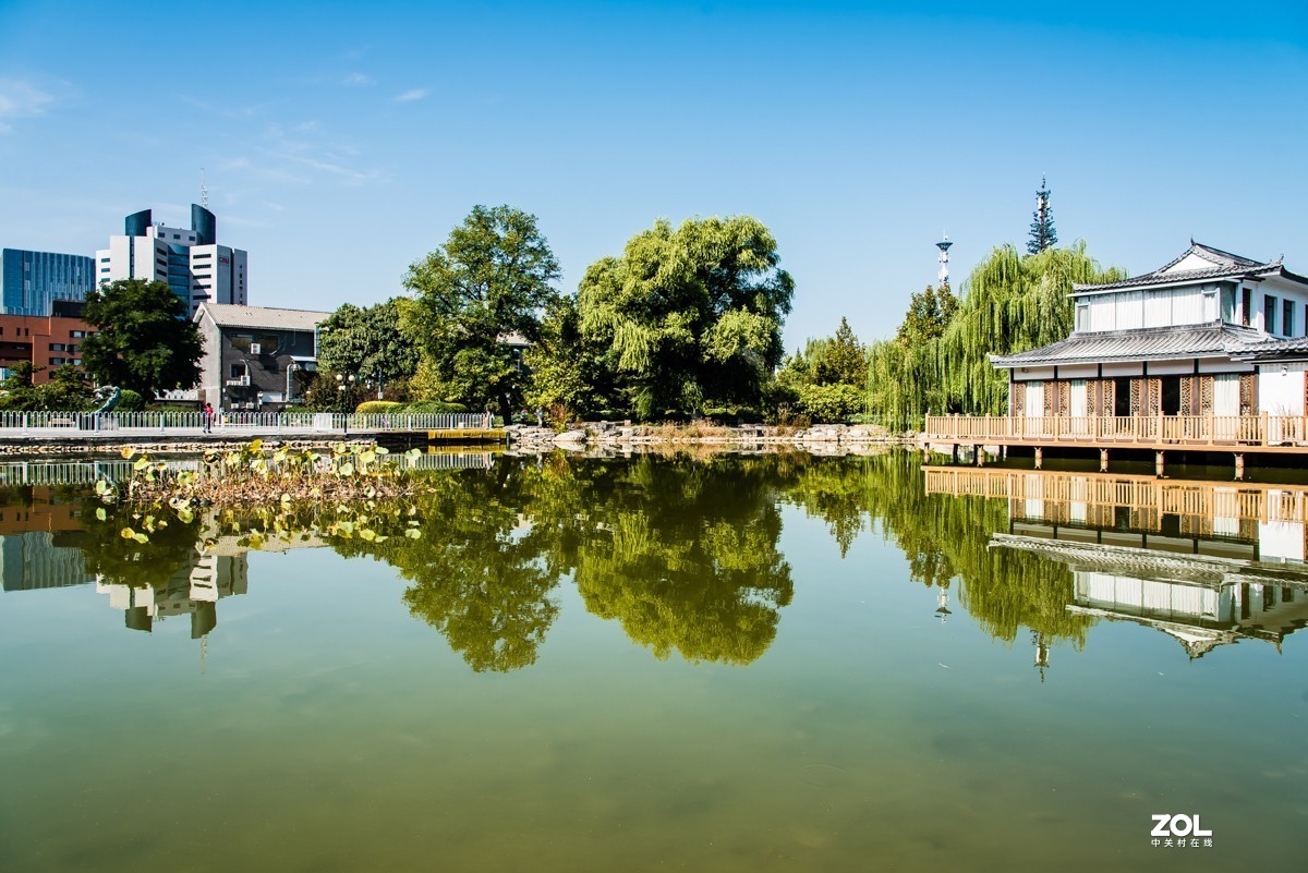 【镜头里】第939号：北京国际雕塑公园的静美风光（二）