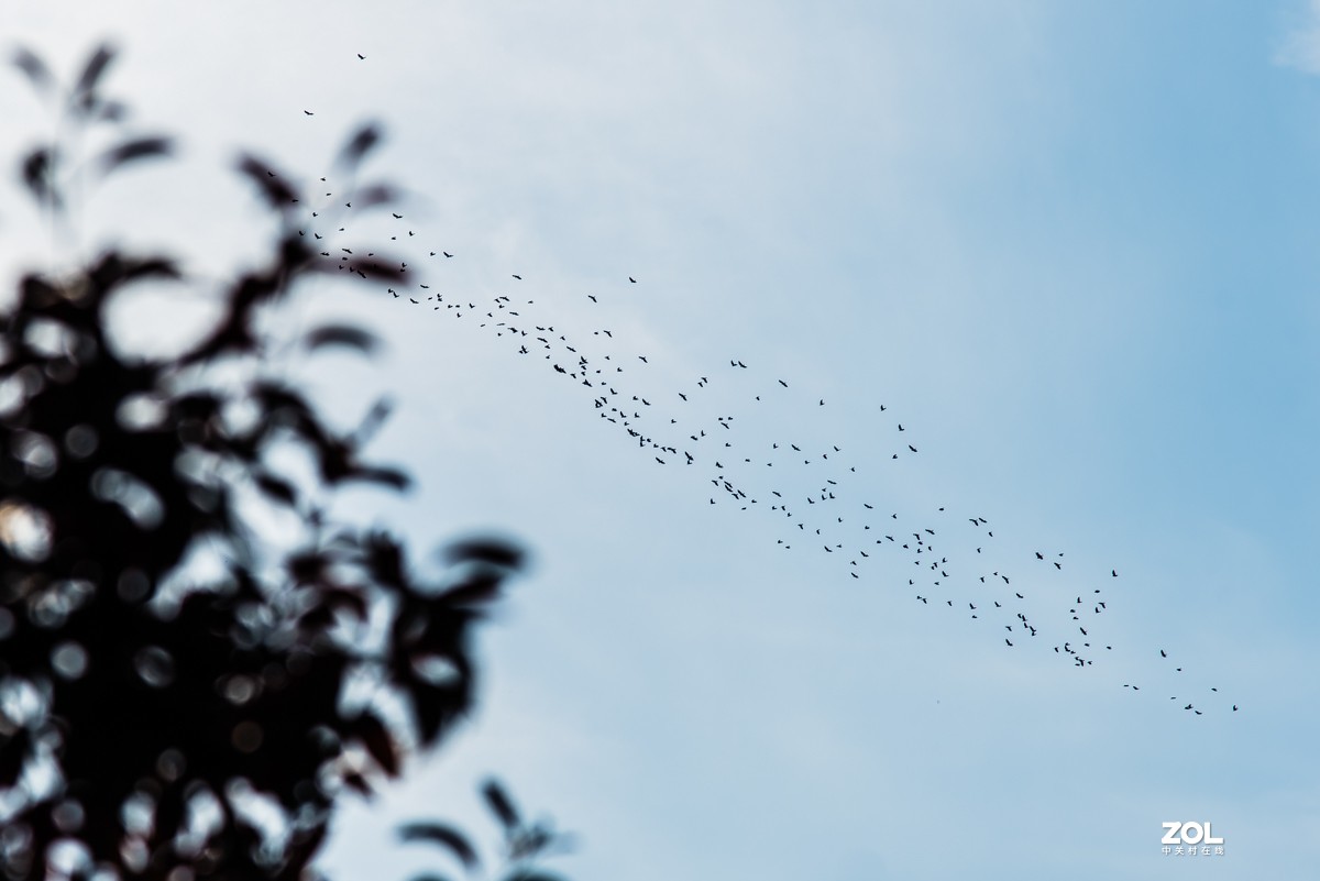 【镜头里】第939号：北京国际雕塑公园的静美风光（二）