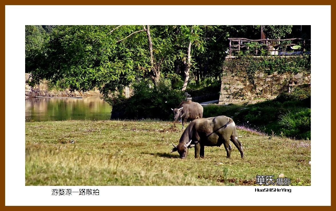 玩在江西144——游婺源一路散拍之三（江西上饶市婺源县） 告别江西