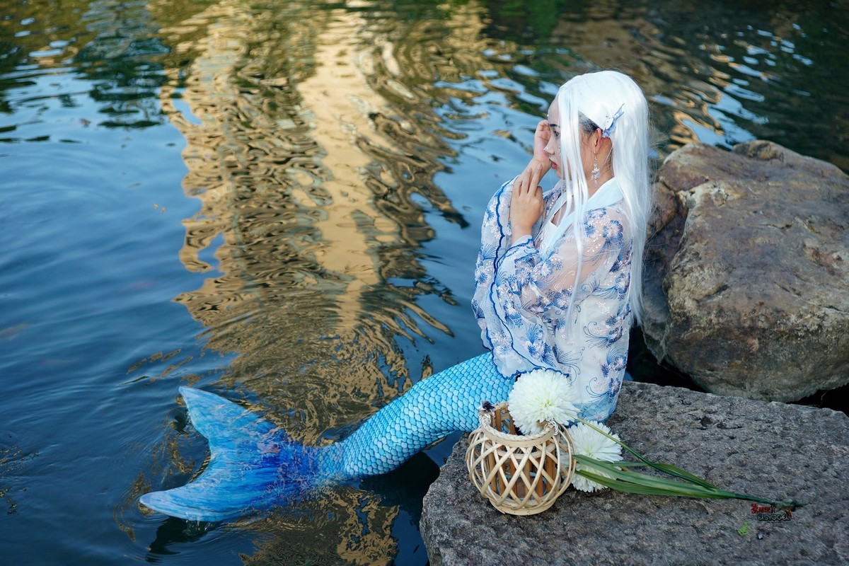 白发美人鱼柒七