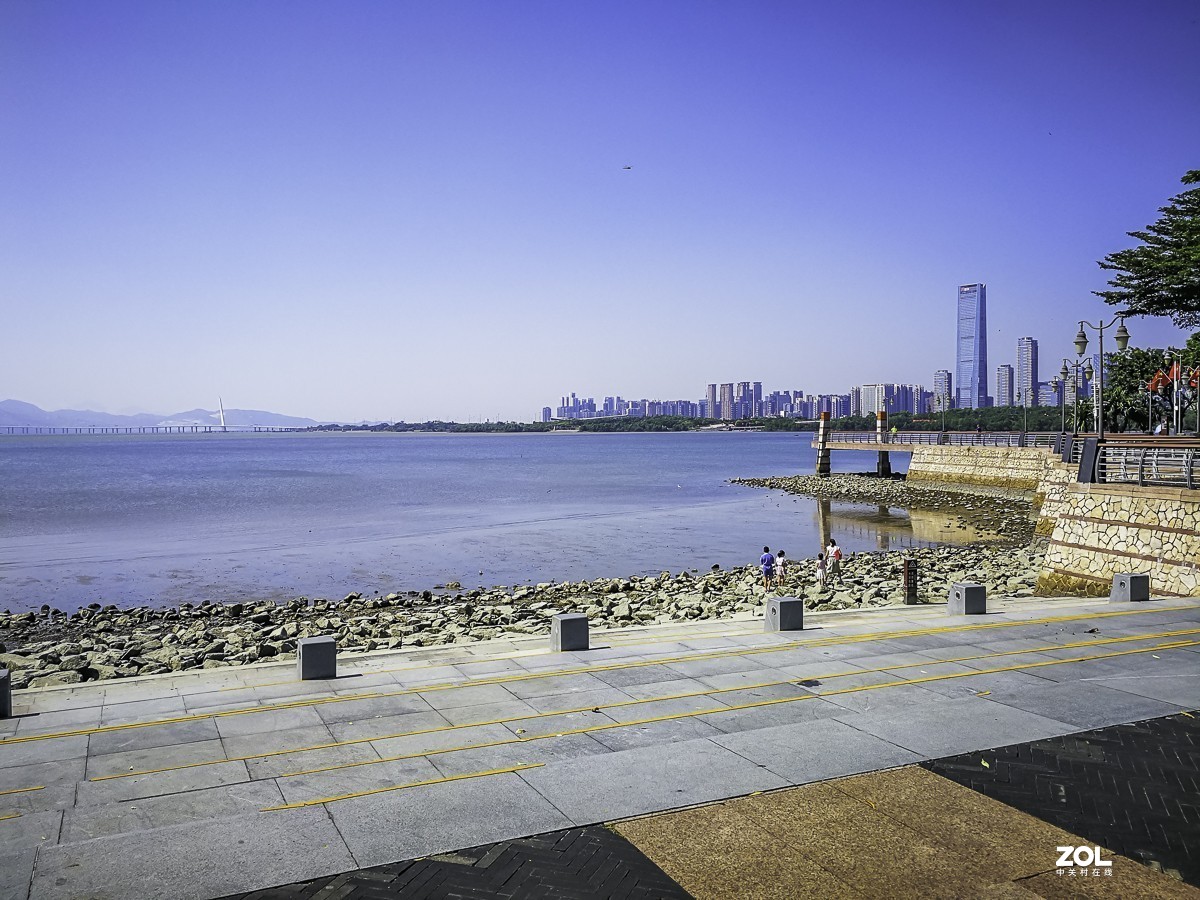 深圳湾红树林公园掠影