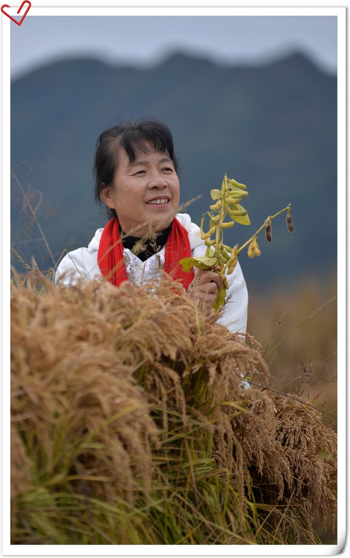 又是一个丰收年（2021年）