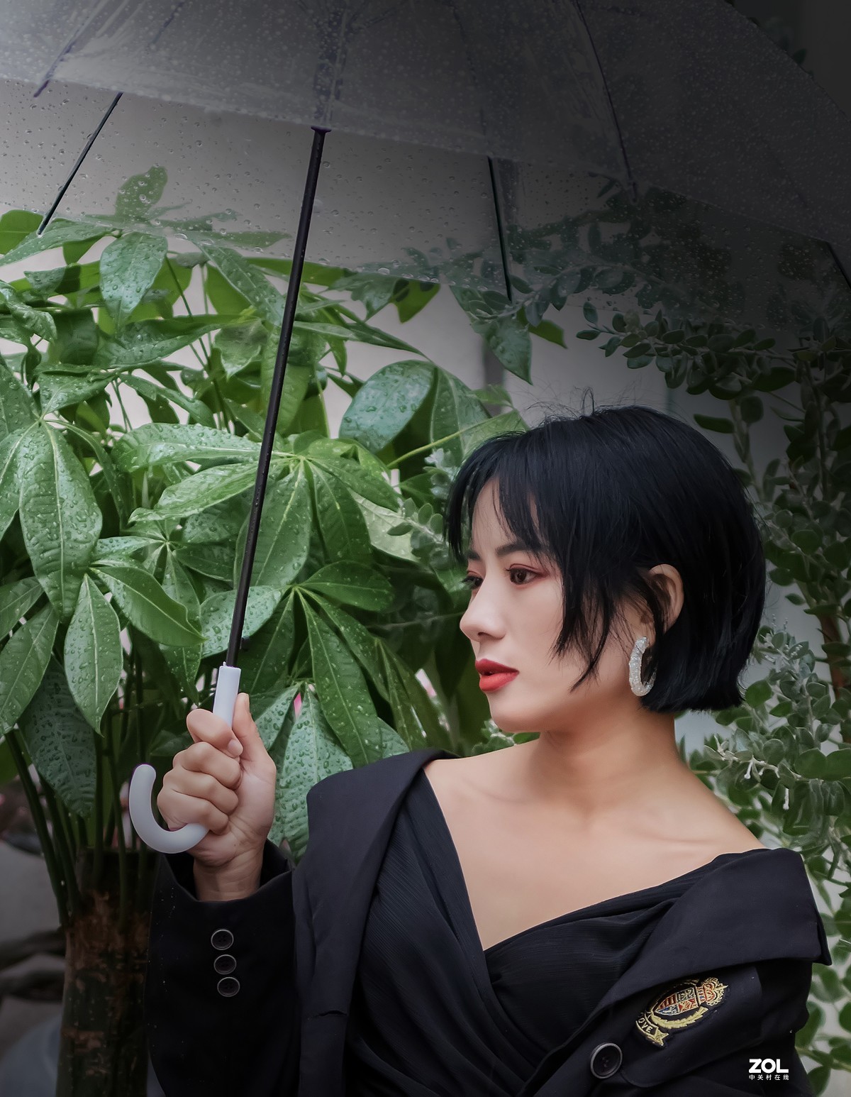 发几个图，有没有拍银杏的一起约起来