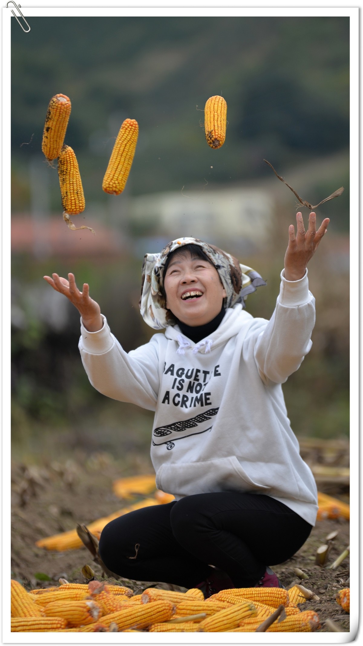 又是一个丰收年（2021年）