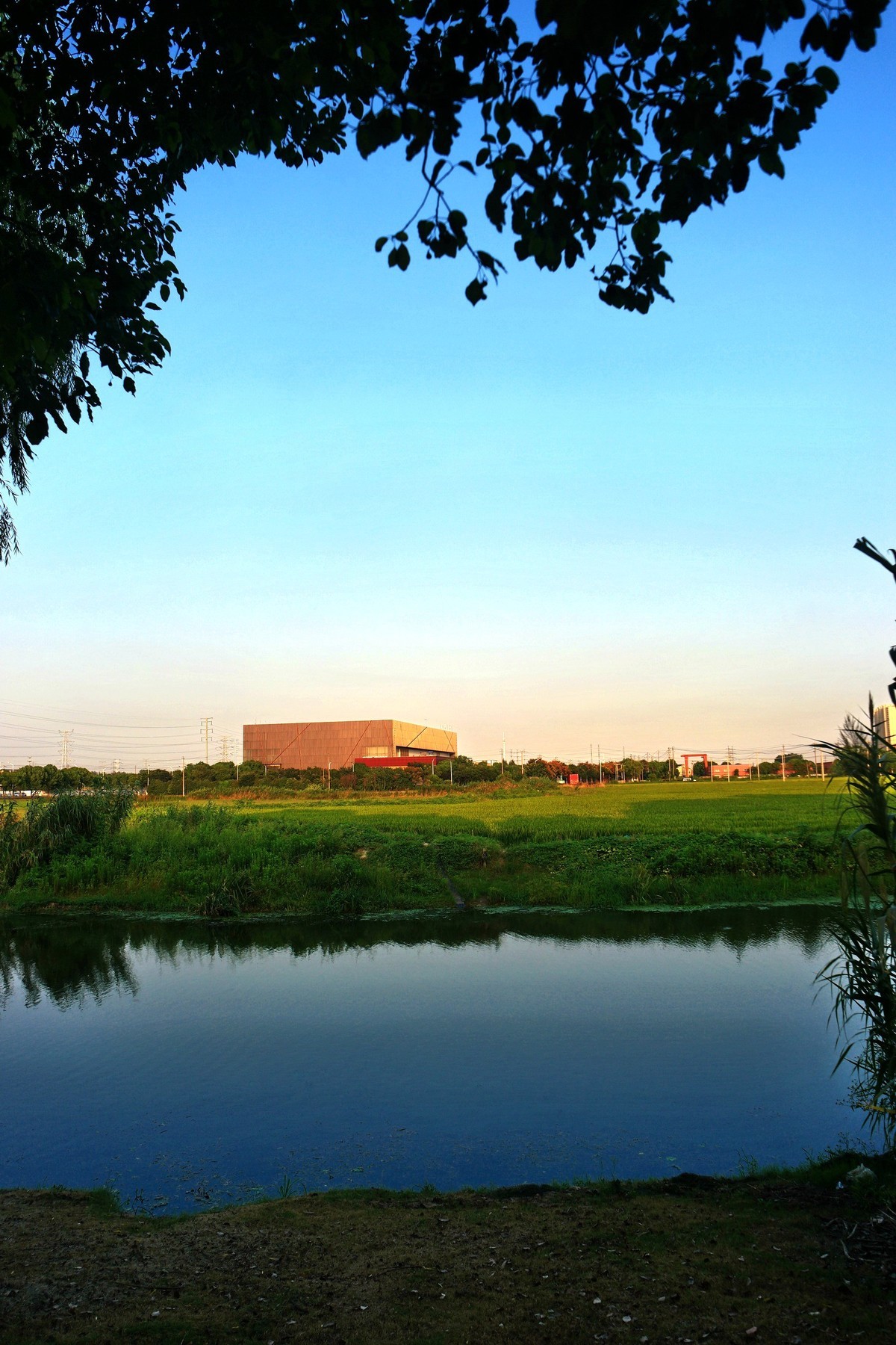 带NX500随拍几张