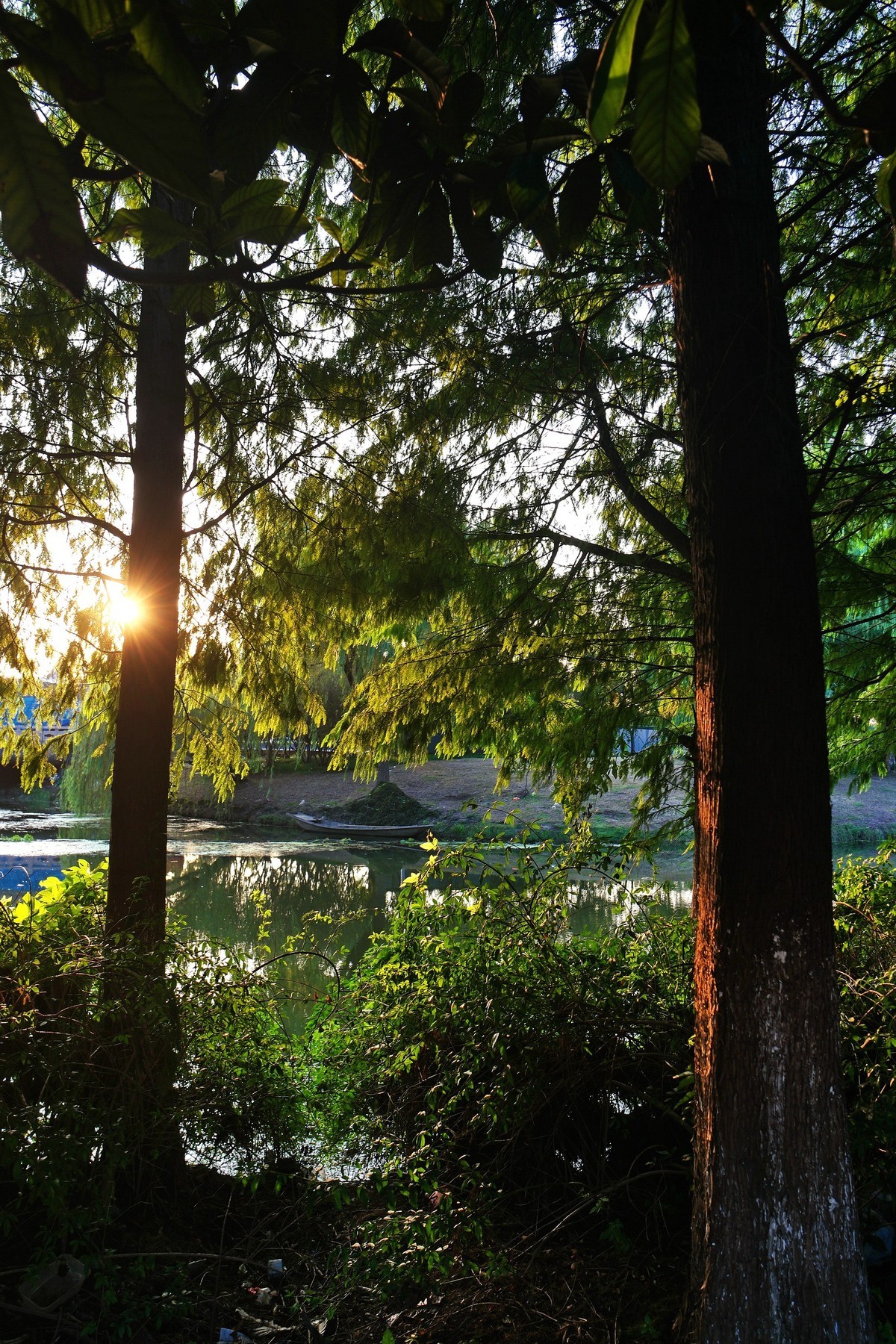 带NX500随拍几张