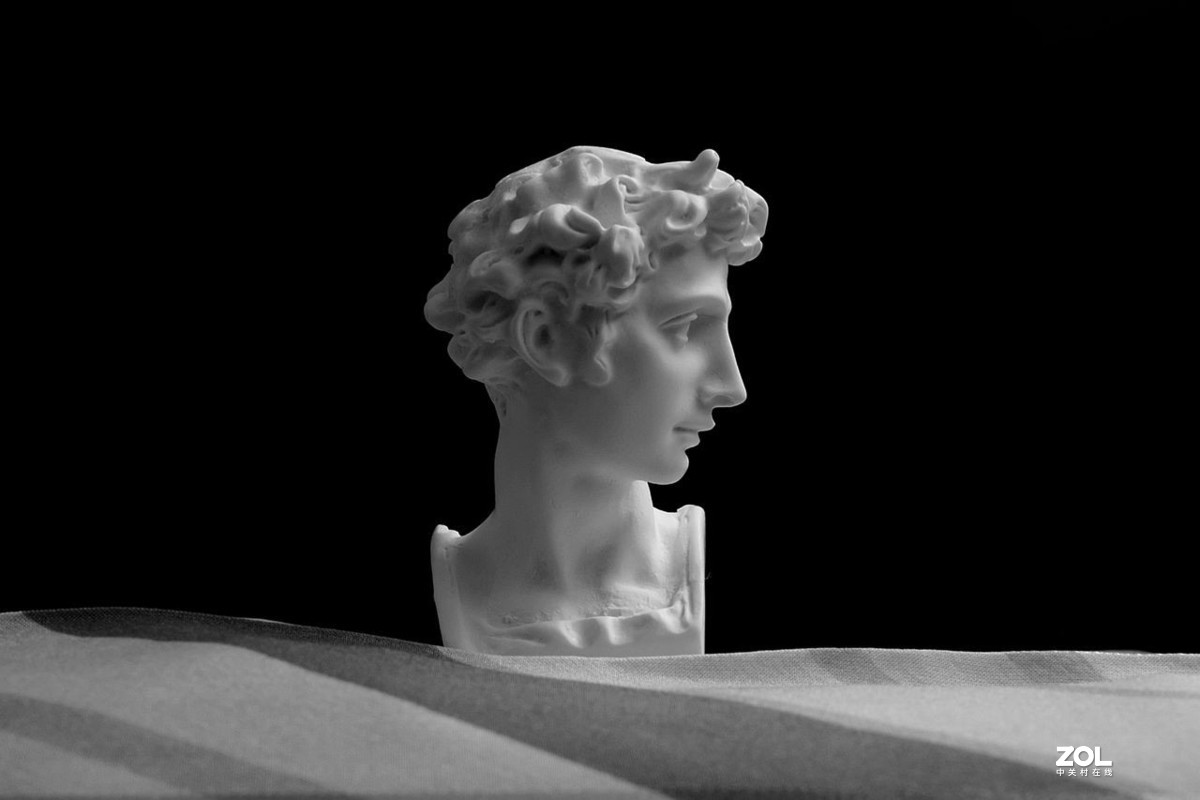 静物：大卫·回眸