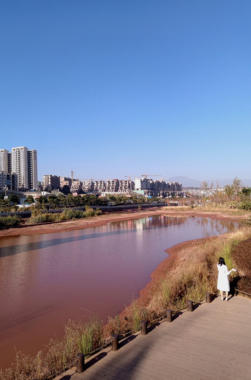 逛路没带相机，用手机拍了几张