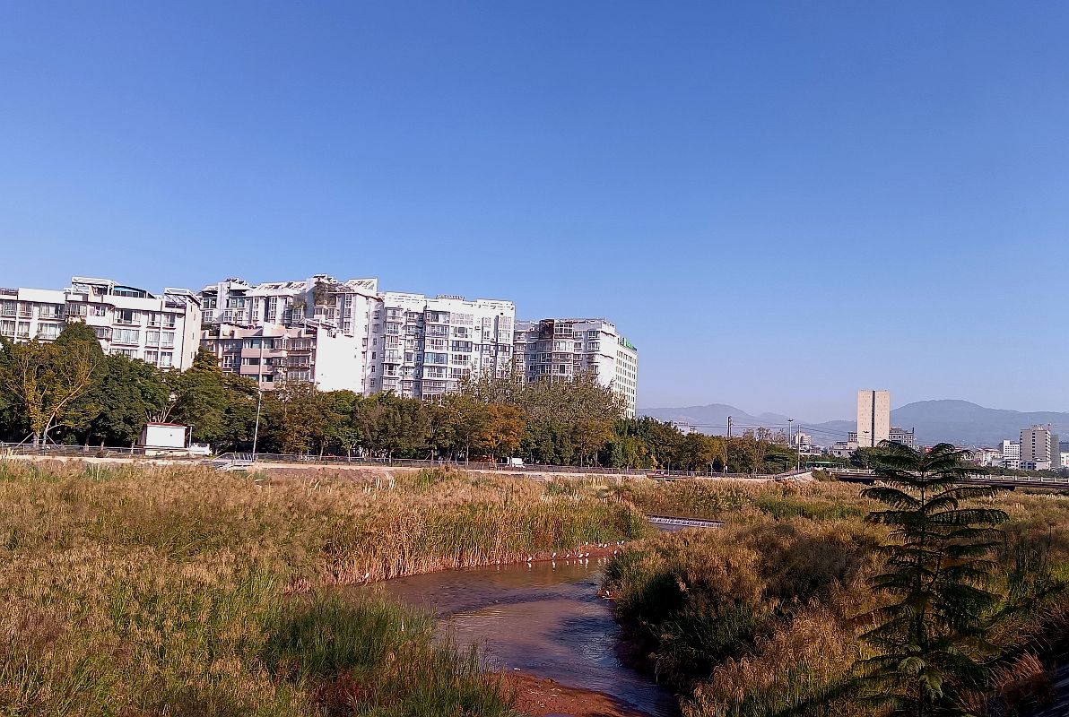 逛路没带相机，用手机拍了几张