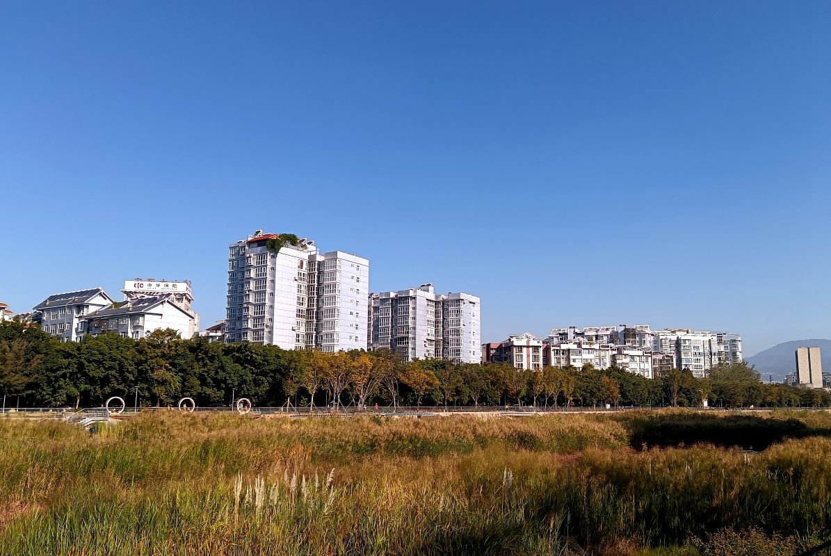 逛路没带相机，用手机拍了几张