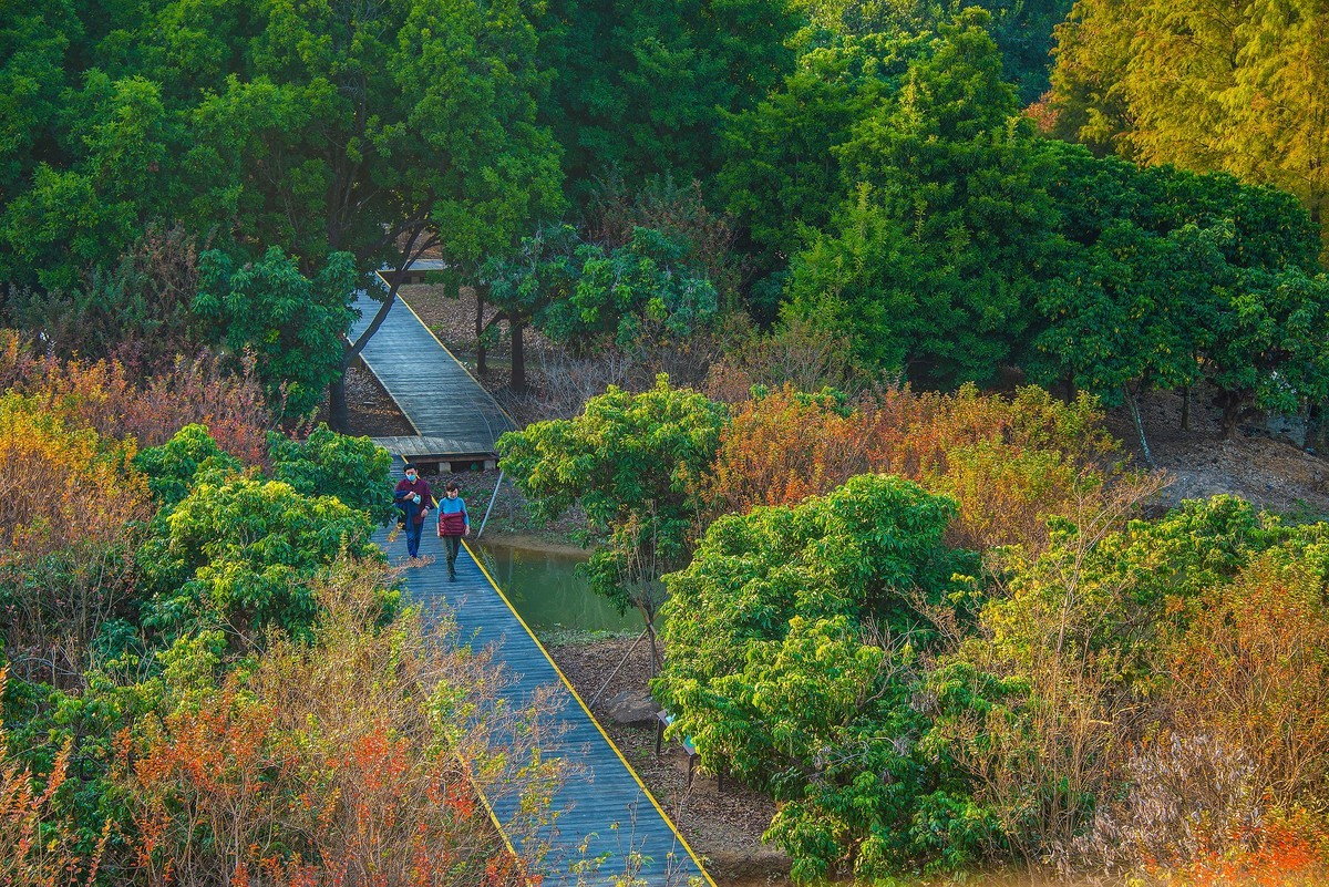 海珠國家溼地公園5