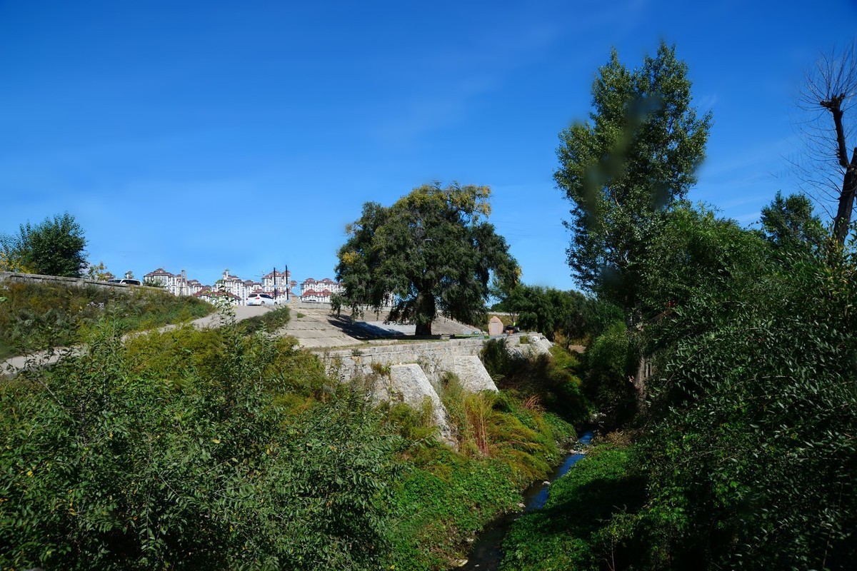 沿江游拍大榆树村