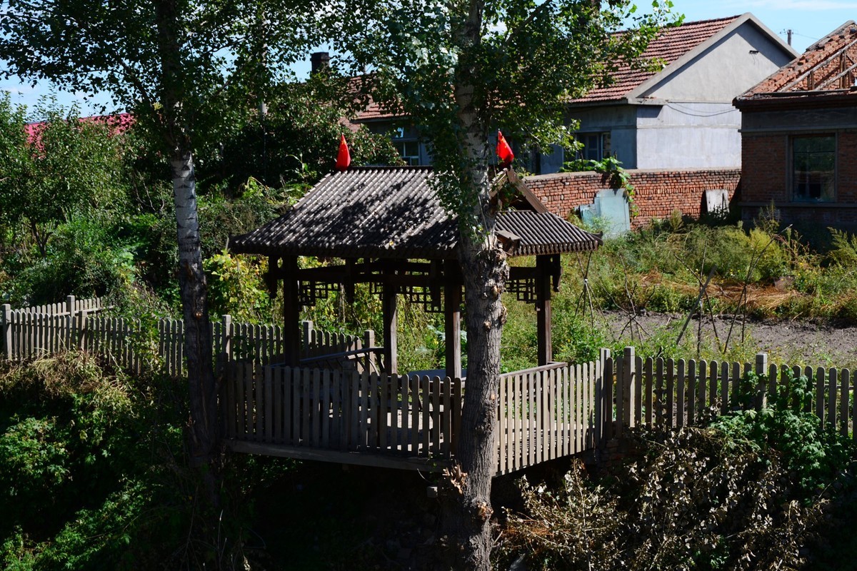 沿江游拍大榆树村