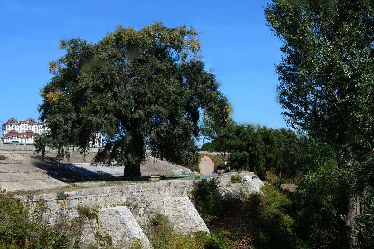 沿江游拍大榆树村