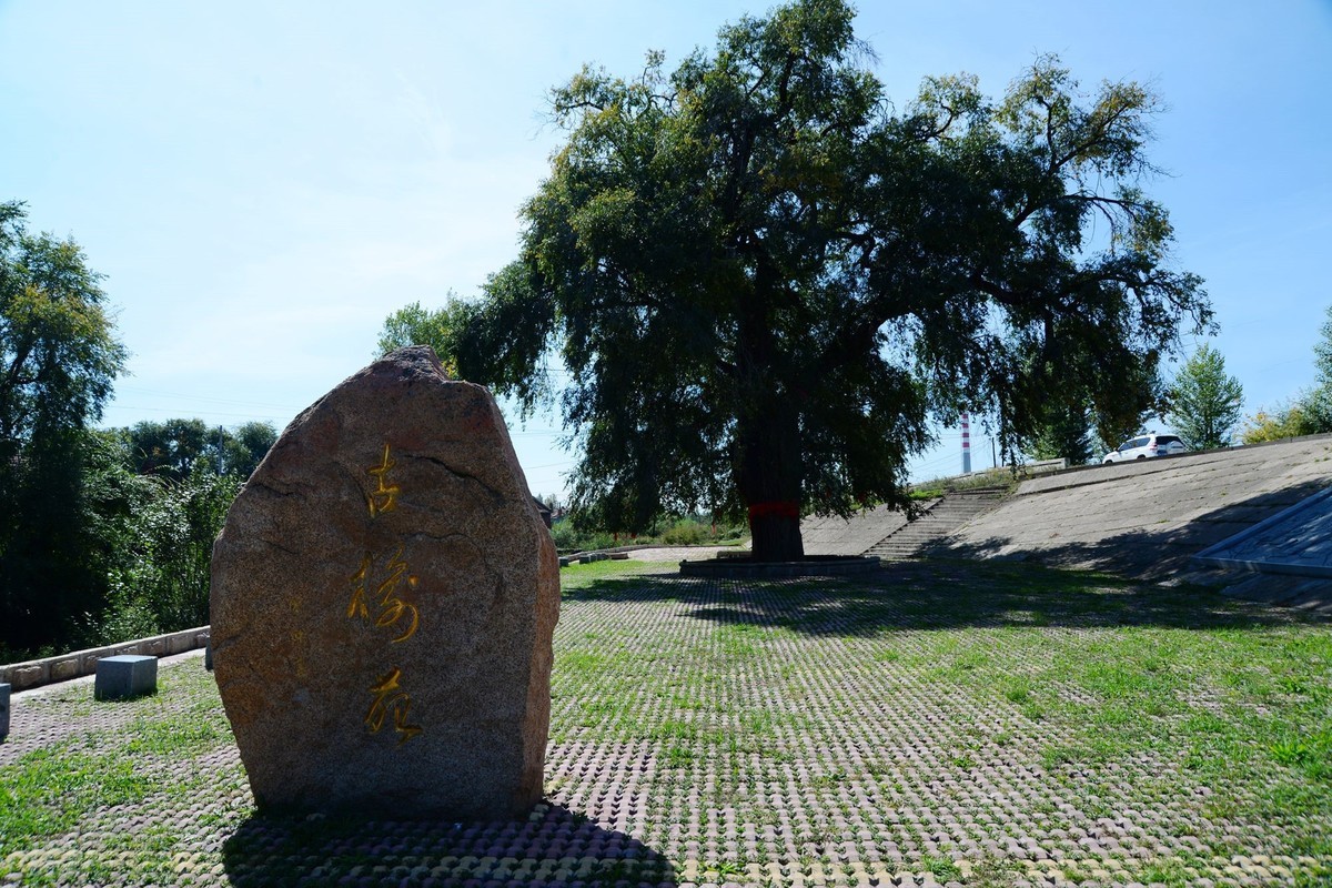 沿江游拍大榆树村