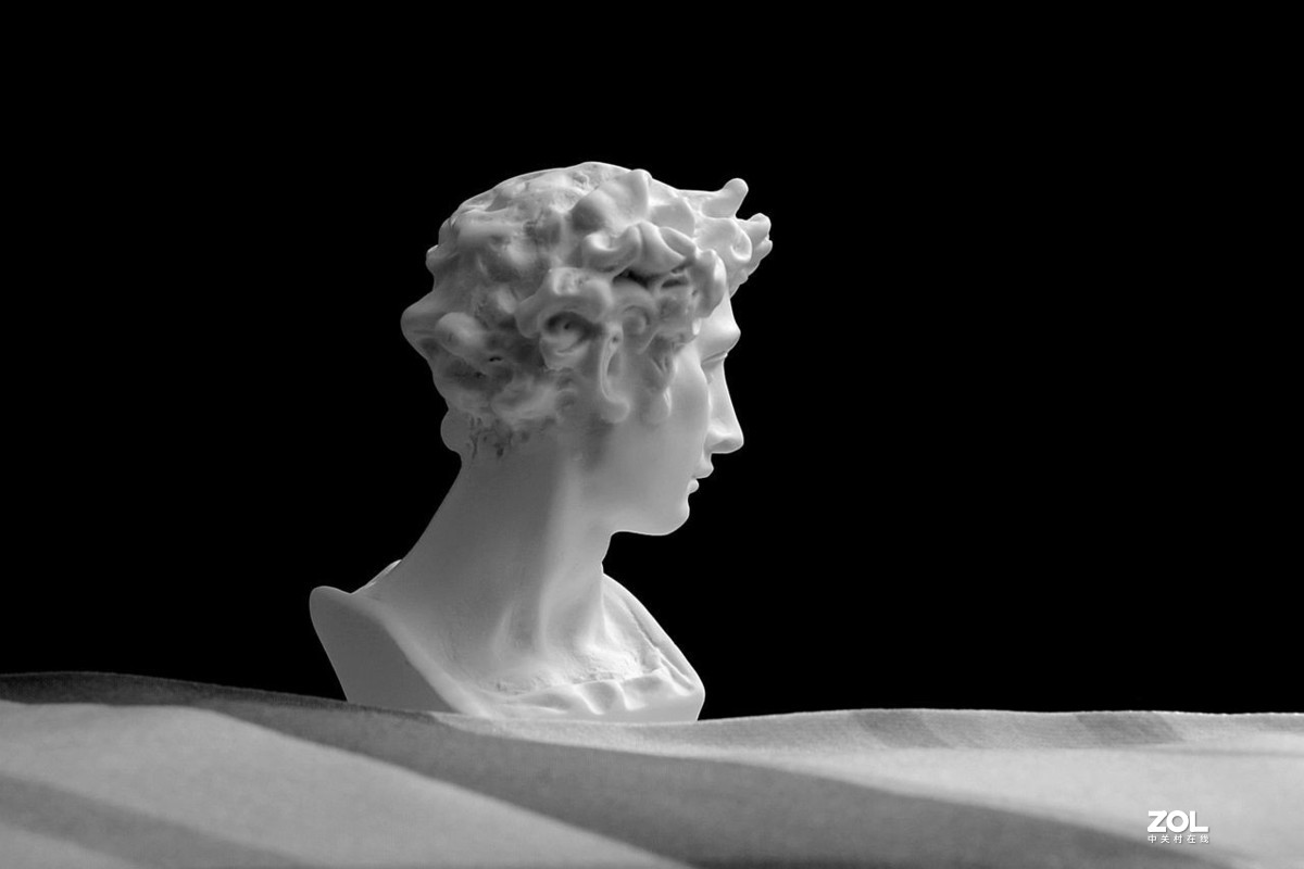 静物：大卫·回眸