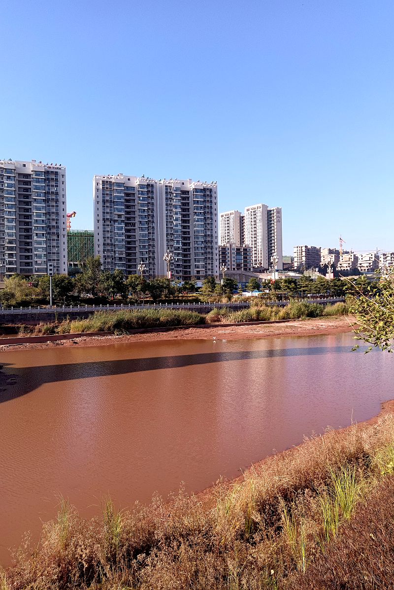 逛路没带相机，用手机拍了几张