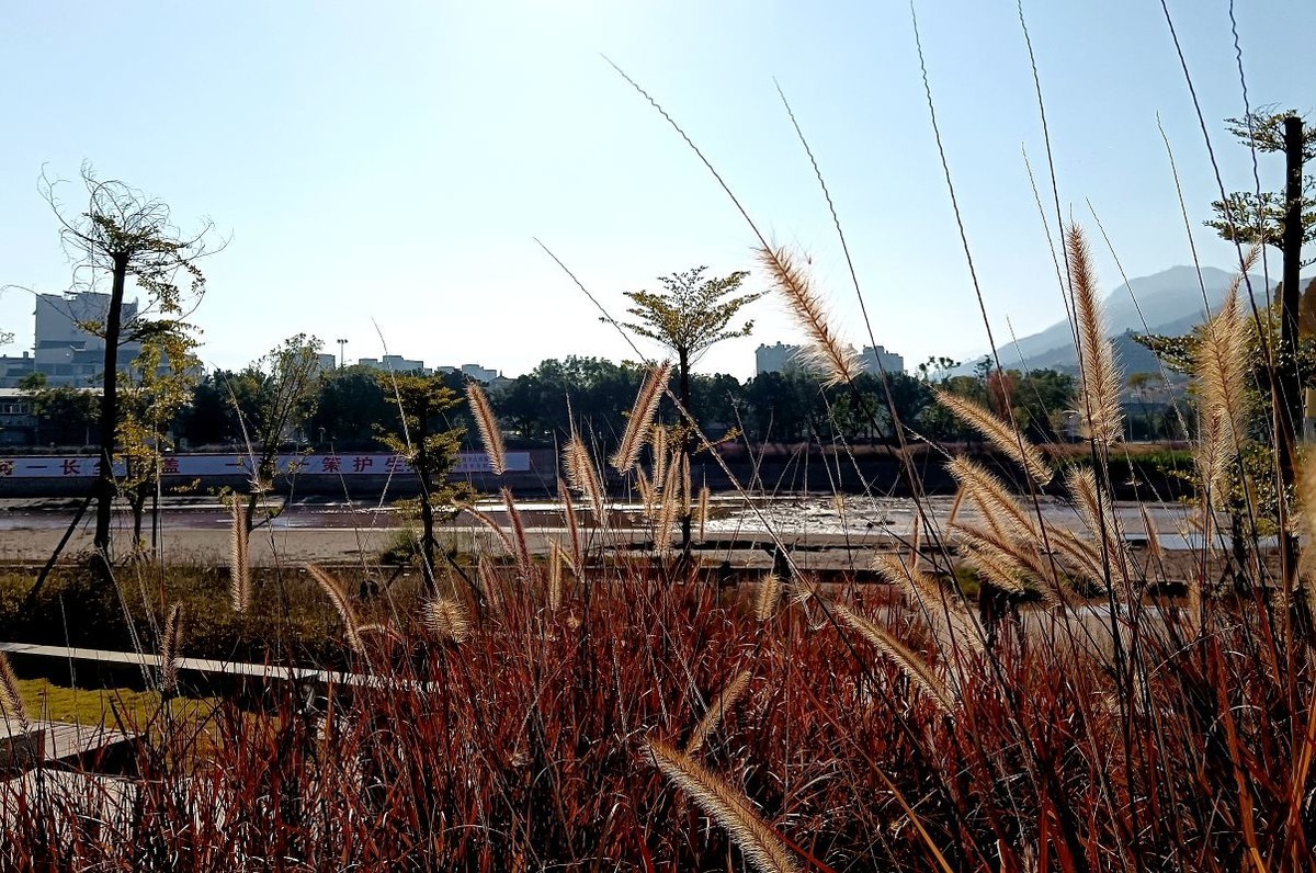 逛路没带相机，用手机拍了几张