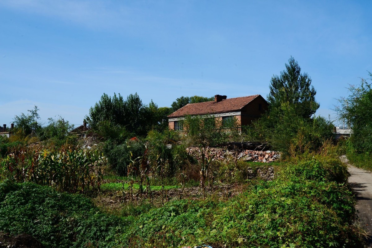 沿江游拍大榆树村