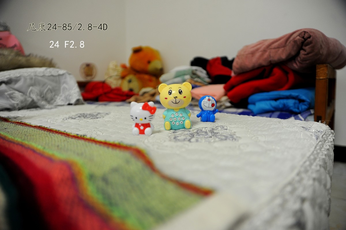 尼康24-85/2.8-4D测试虚化