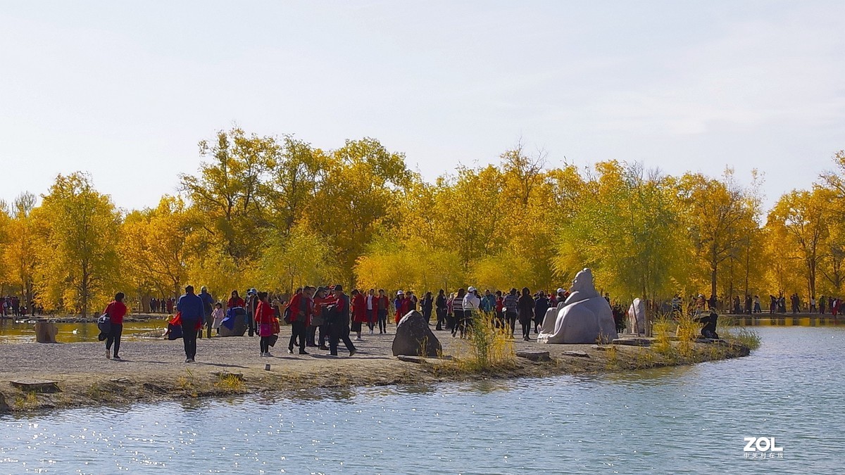 甘肃--金塔胡杨林【六】