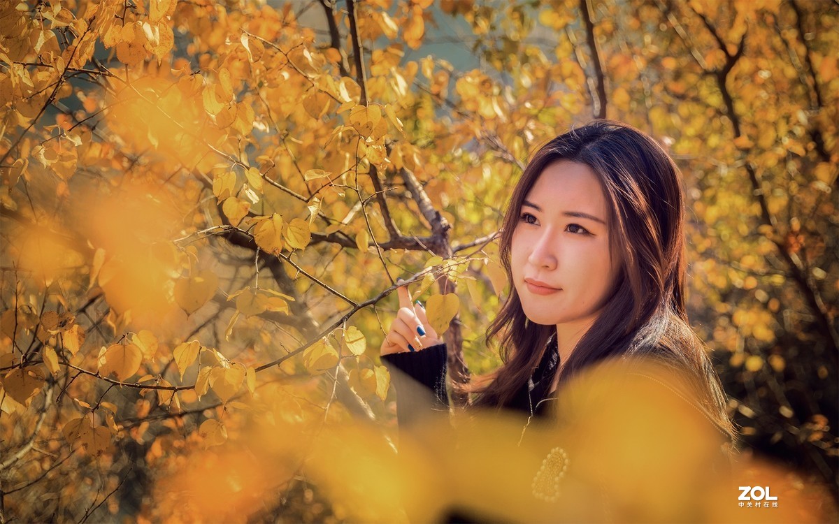 同事小美女秋景人像