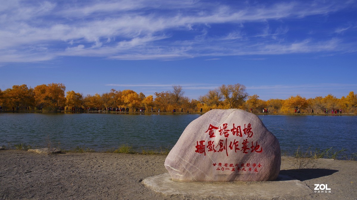 甘肃--金塔胡杨林【六】