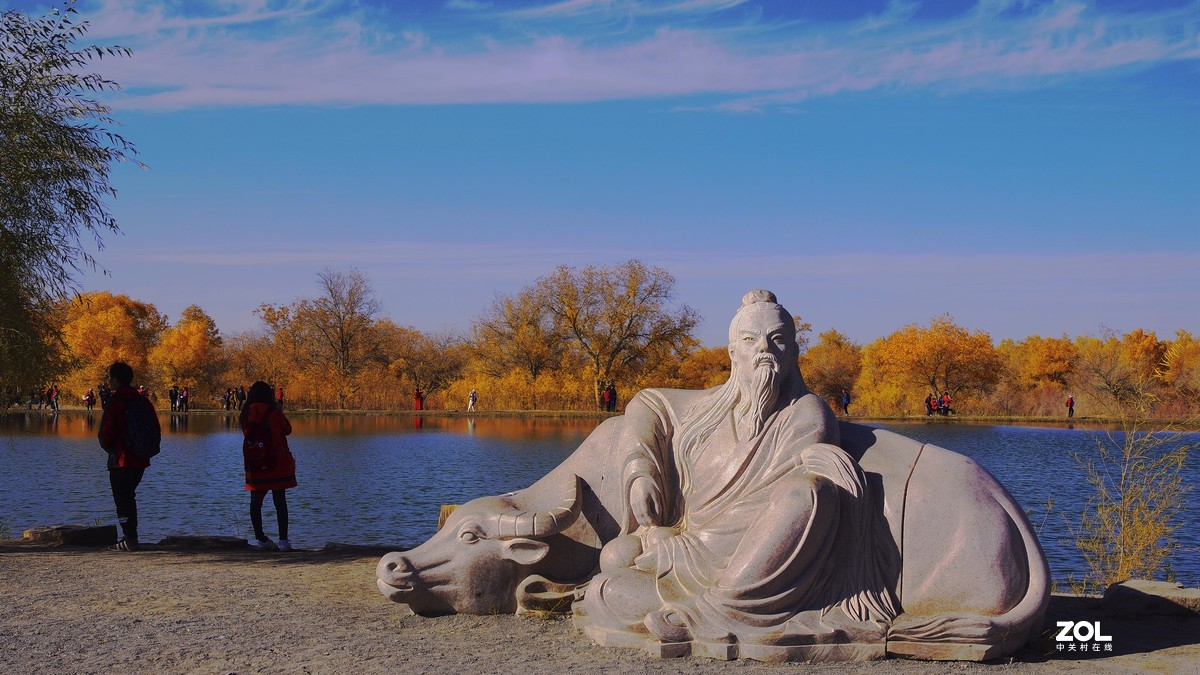 甘肃--金塔胡杨林【六】