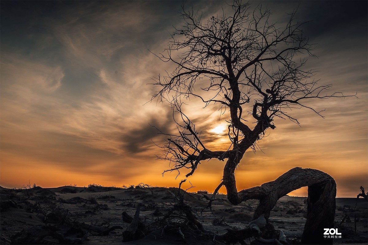 劲捷A81评测，纯为薅厂家羊毛