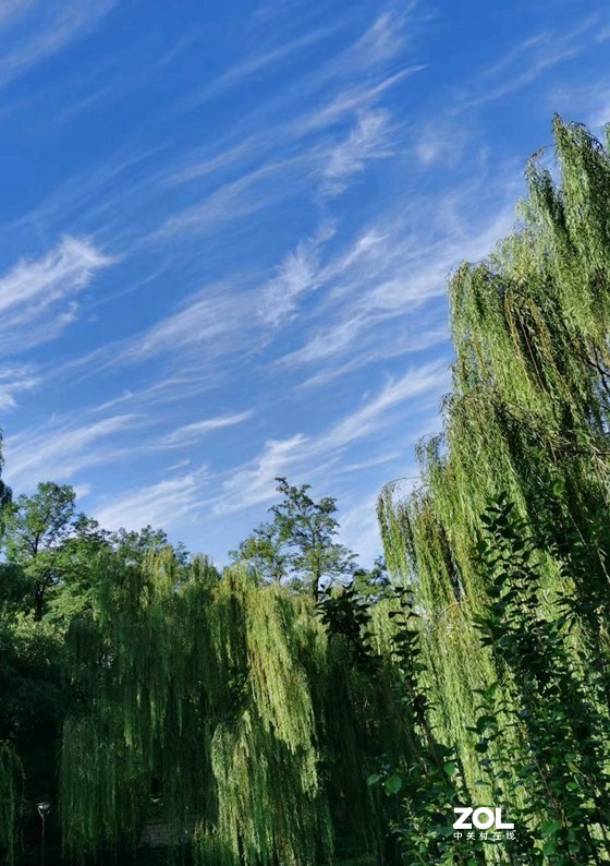 蓝天和白云相伴