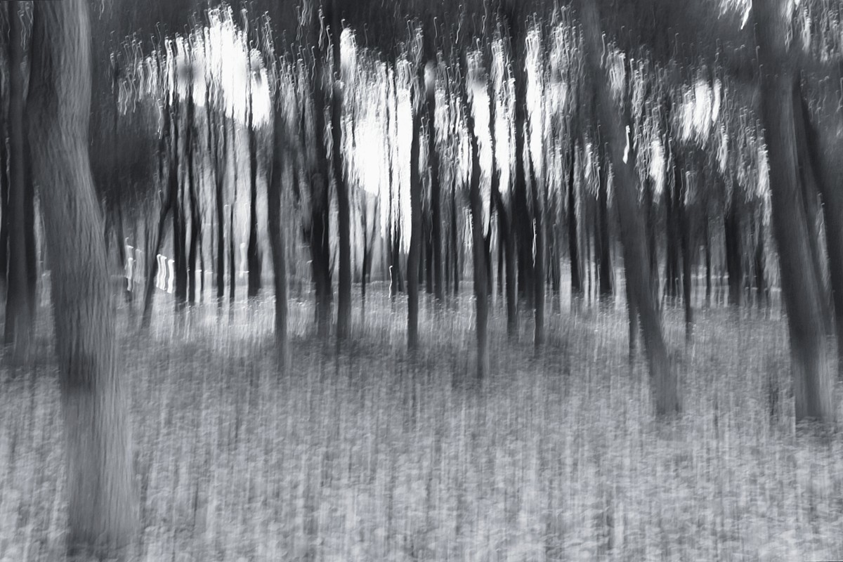 尚未成熟的作业