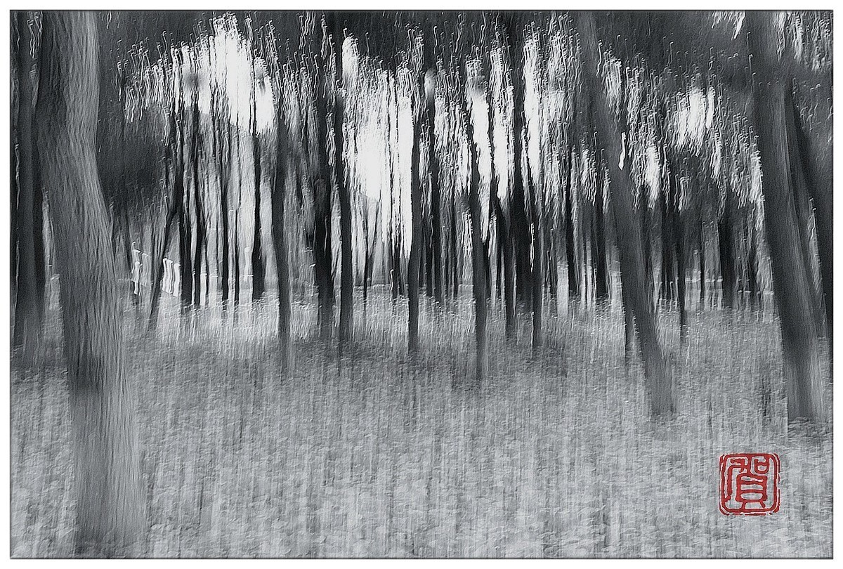 尚未成熟的作业