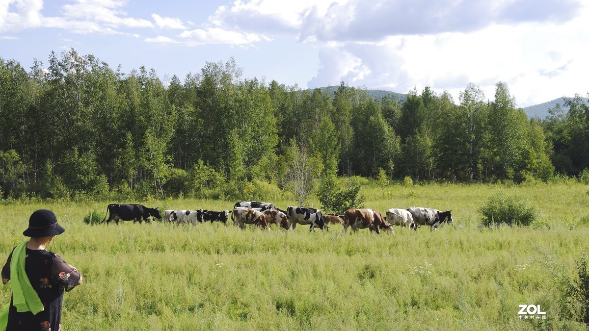 呼伦贝尔草原随拍【5】临江沿途