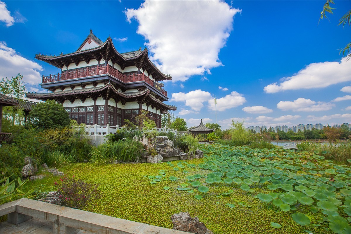 2020-10-17仪征东园秋色(二)-中关村在线摄影论坛