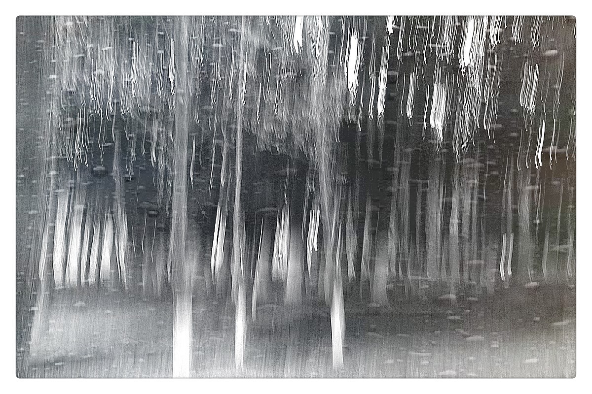 尚未成熟的作业