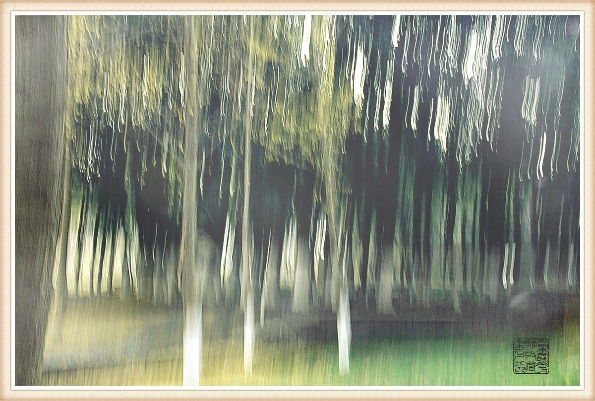 尚未成熟的作业