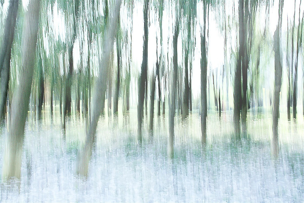 尚未成熟的作业