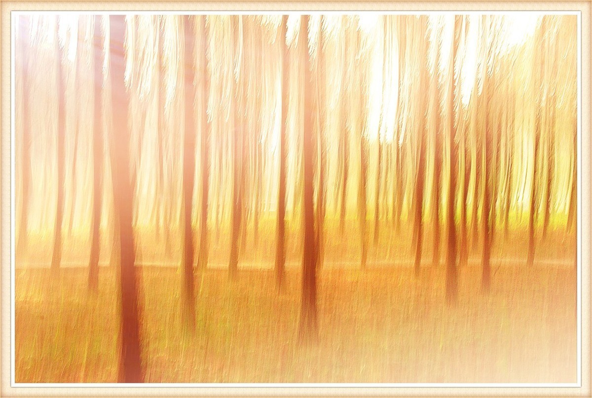 尚未成熟的作业