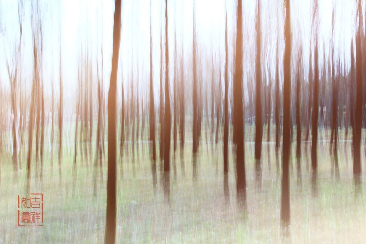 尚未成熟的作业