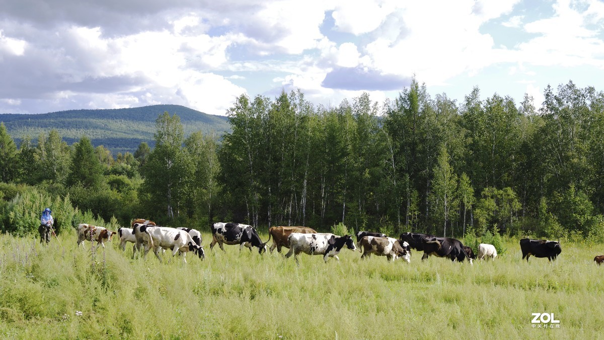 呼伦贝尔草原随拍【5】临江沿途