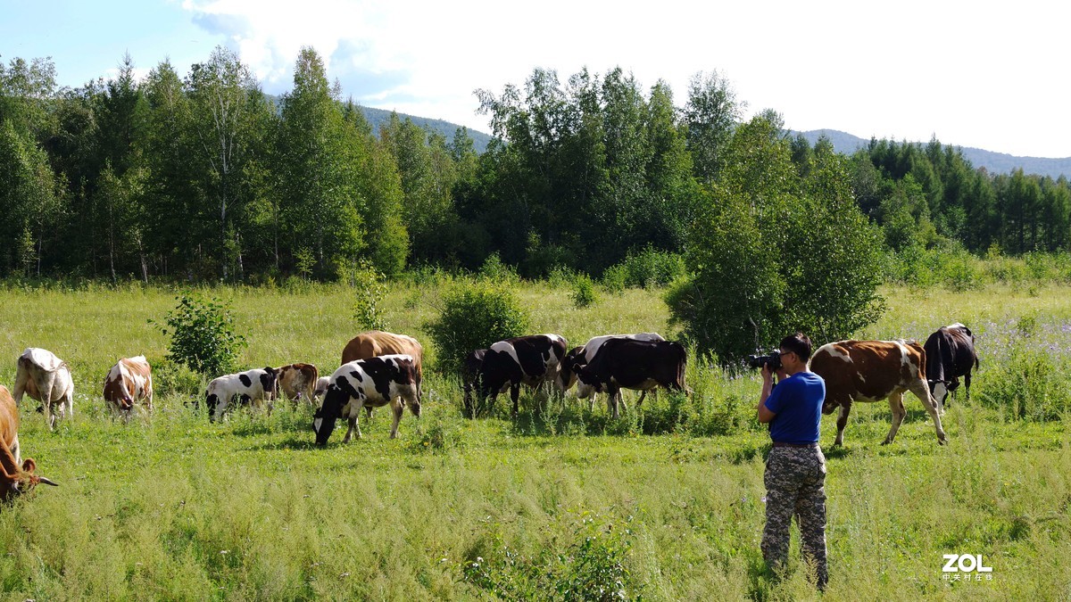 呼伦贝尔草原随拍【5】临江沿途